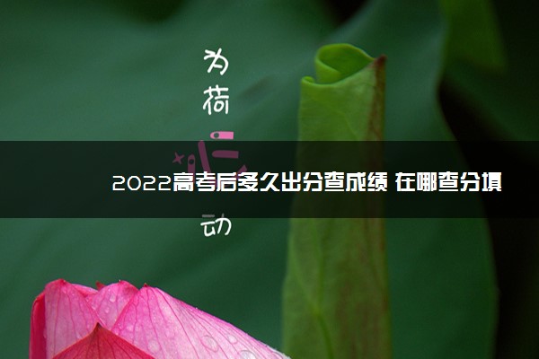 2022高考后多久出分查成绩 在哪查分填志愿