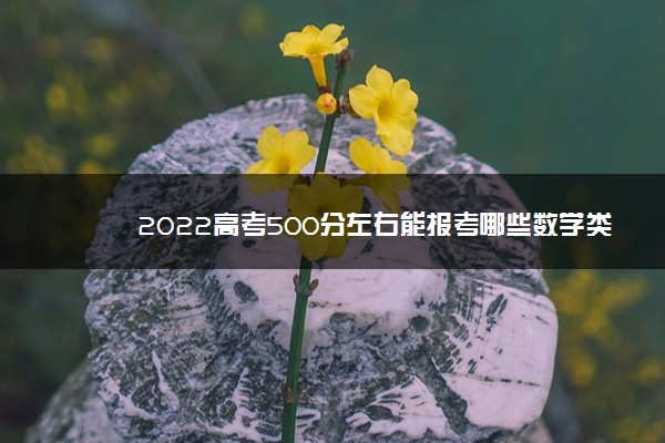 2022高考500分左右能报考哪些数学类大学