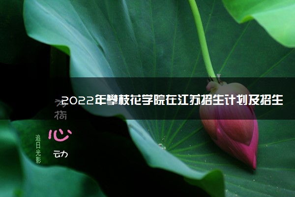 2022年攀枝花学院在江苏招生计划及招生人数 都招什么专业