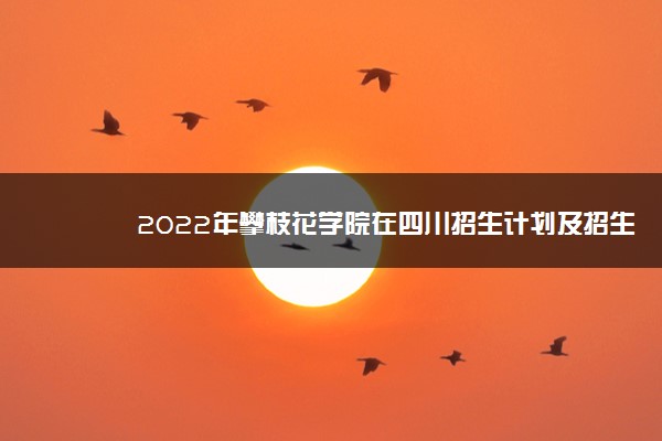 2022年攀枝花学院在四川招生计划及招生人数 都招什么专业