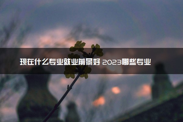 现在什么专业就业前景好 2023哪些专业有发展