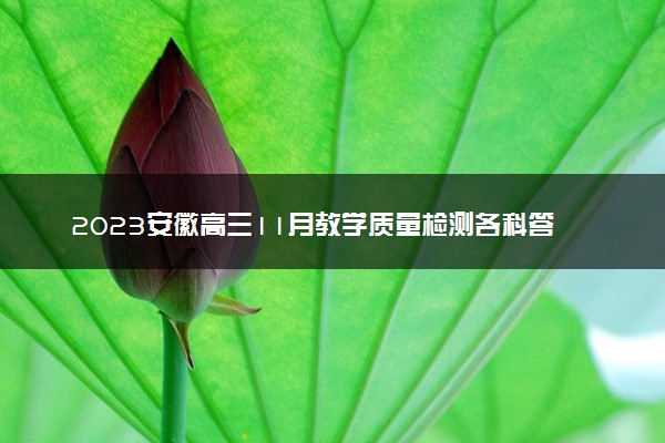 2023安徽高三11月教学质量检测各科答案及试卷解析