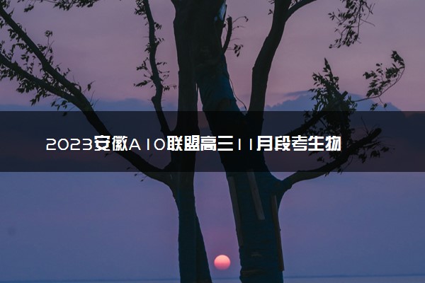 2023安徽A10联盟高三11月段考生物试卷及答案解析（更新中）