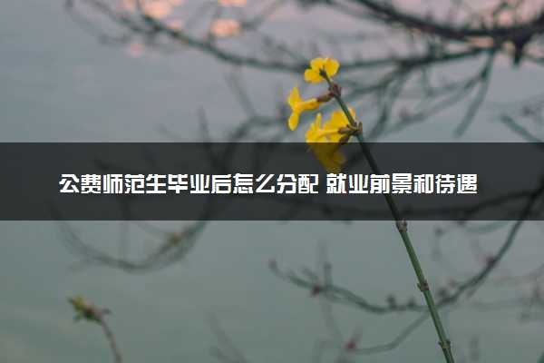 公费师范生毕业后怎么分配 就业前景和待遇