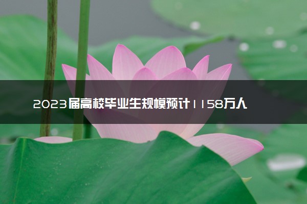 2023届高校毕业生规模预计1158万人 与去年比增加82万人