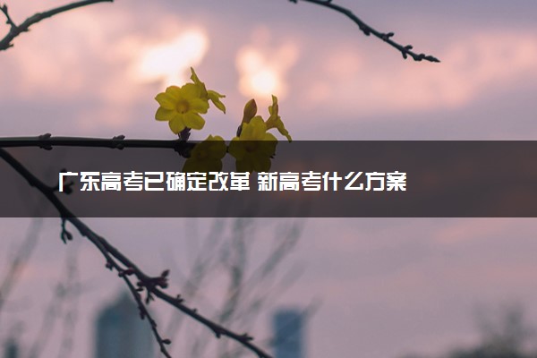 广东高考已确定改革 新高考什么方案