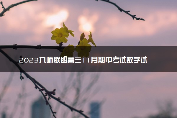 2023九师联盟高三11月期中考试数学试卷及答案参考详解！