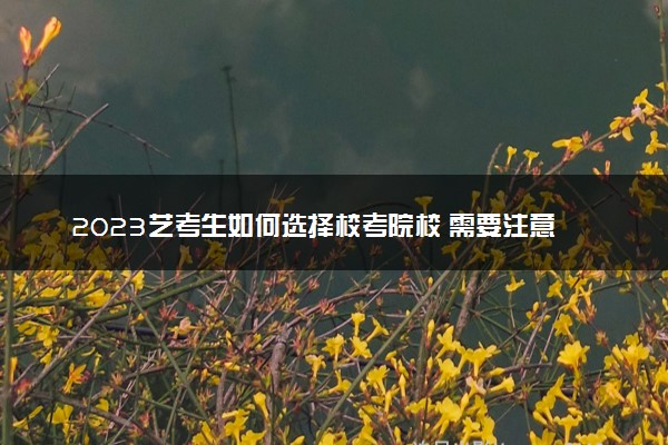 2023艺考生如何选择校考院校 需要注意什么