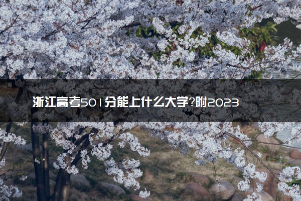 浙江高考501分能上什么大学？附2023年可以报考的学校名单