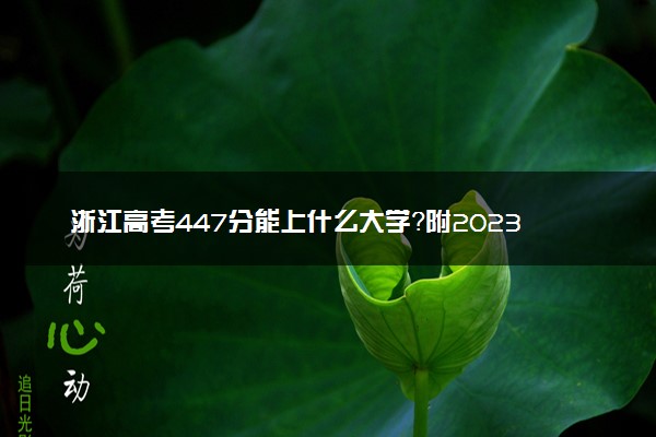 浙江高考447分能上什么大学？附2023年可以报考的学校名单