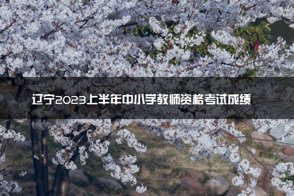 辽宁2023上半年中小学教师资格考试成绩查询时间 几号公布