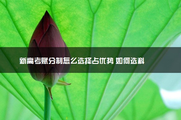 新高考赋分制怎么选择占优势 如何选科