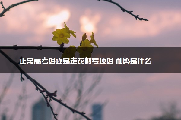 正常高考好还是走农村专项好 利弊是什么