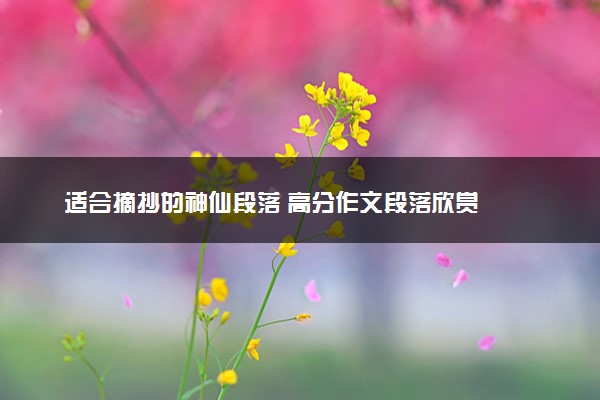 适合摘抄的神仙段落 高分作文段落欣赏