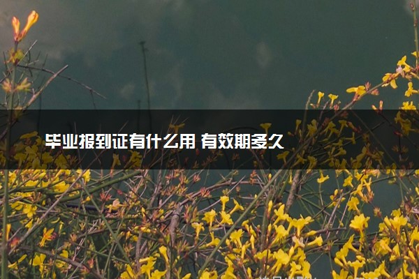 毕业报到证有什么用 有效期多久