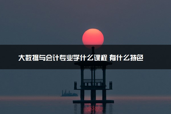 大数据与会计专业学什么课程 有什么特色