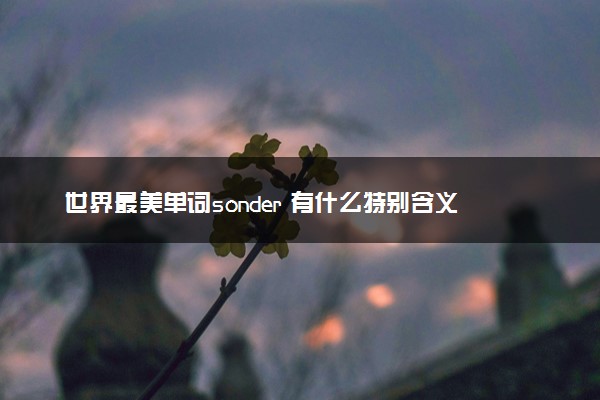 世界最美单词sonder 有什么特别含义