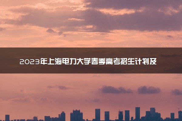 2023年上海电力大学春季高考招生计划及专业