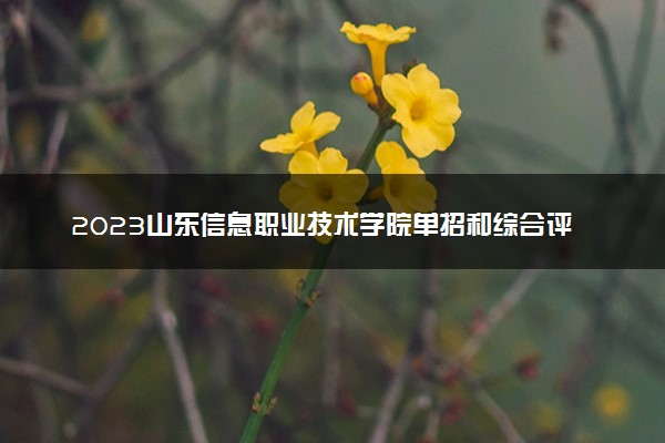 2023山东信息职业技术学院单招和综合评价招生专业及计划