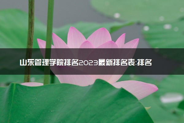 山东管理学院排名2023最新排名表：排名全国第几位？附录取分数线