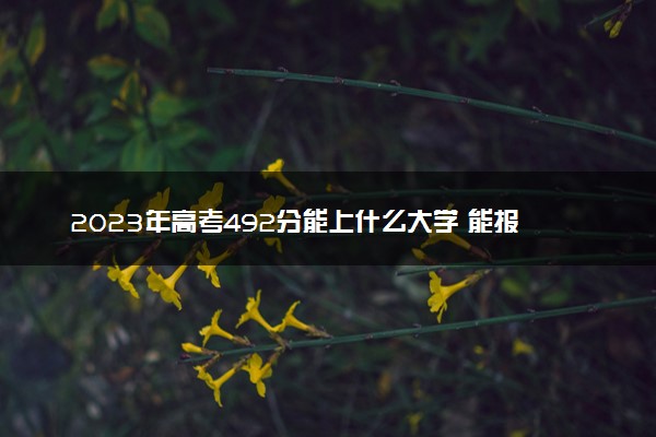 2023年高考492分能上什么大学 能报考的院校名单