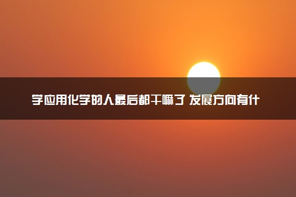 学应用化学的人最后都干嘛了 发展方向有什么