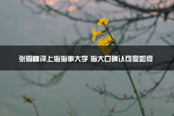张雪峰评上海海事大学 海大口碑认可度如何