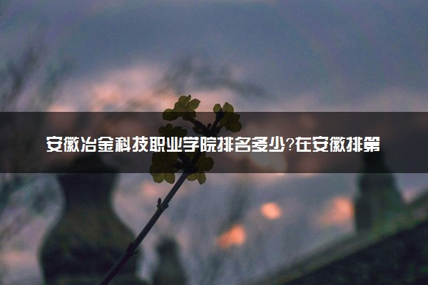 安徽冶金科技职业学院排名多少？在安徽排第几位？怎么样好不好？