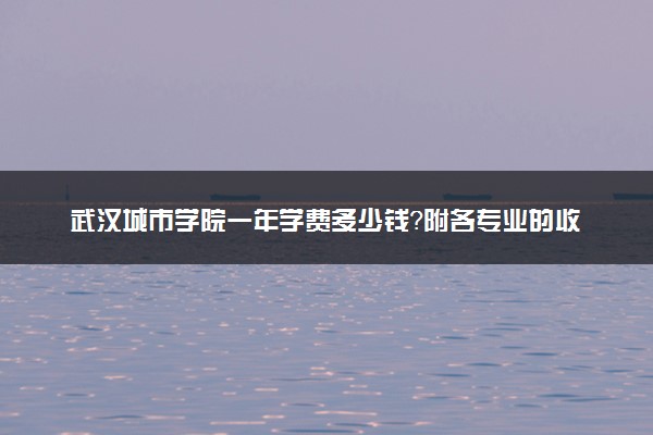 武汉城市学院一年学费多少钱？附各专业的收费标准（2023年参考）