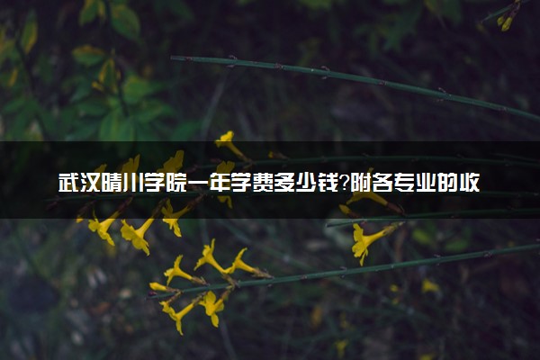 武汉晴川学院一年学费多少钱？附各专业的收费标准（2023年参考）