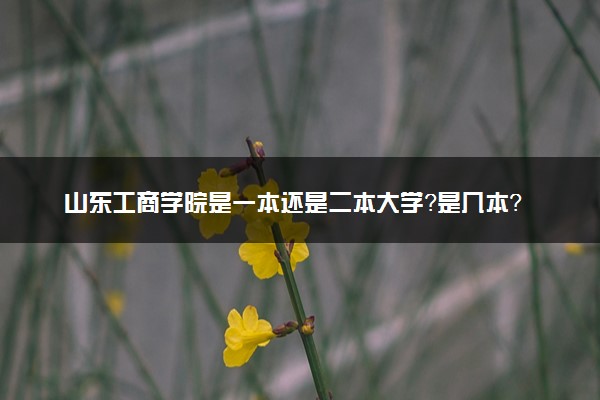 山东工商学院是一本还是二本大学？是几本？在全国排名多少名？