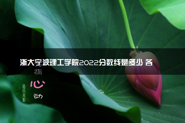 浙大宁波理工学院2022分数线是多少 各省录取最低位次