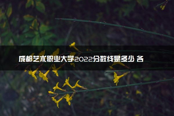 成都艺术职业大学2022分数线是多少 各省录取最低位次