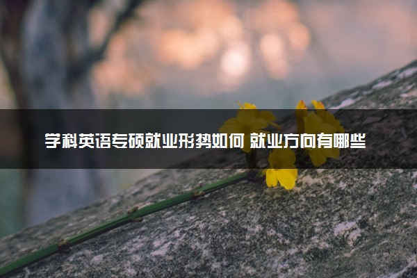 学科英语专硕就业形势如何 就业方向有哪些