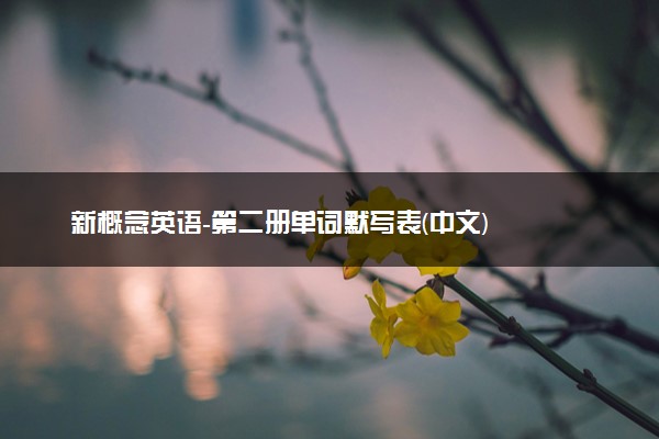 新概念英语-第二册单词默写表(中文)