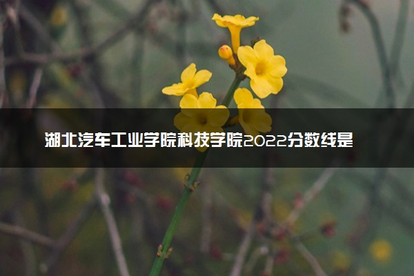 湖北汽车工业学院科技学院2022分数线是多少 各省录取最低位次