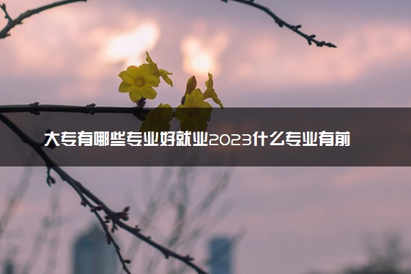 大专有哪些专业好就业2023什么专业有前景