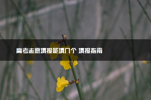 高考志愿填报能填几个 填报指南