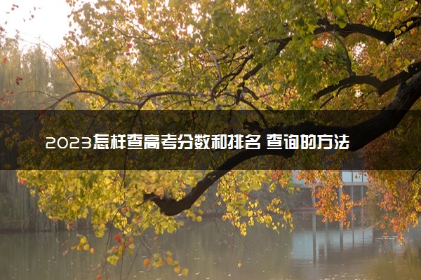 2023怎样查高考分数和排名 查询的方法有哪些