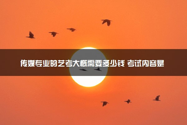 传媒专业的艺考大概需要多少钱 考试内容是什么