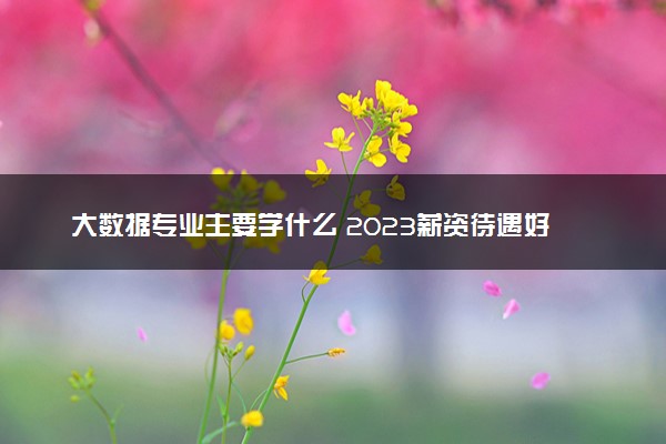 大数据专业主要学什么 2023薪资待遇好吗