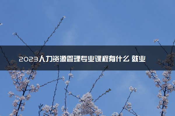 2023人力资源管理专业课程有什么 就业怎么样