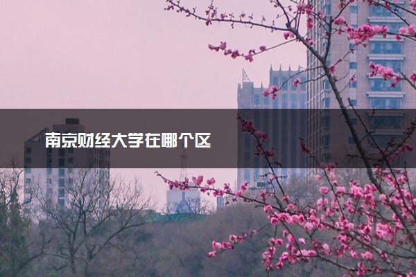 南京财经大学在哪个区