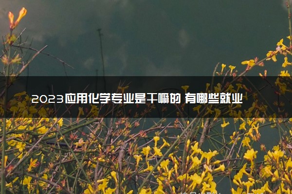 2023应用化学专业是干嘛的 有哪些就业方向可选择