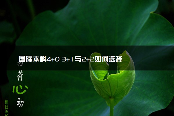 国际本科4+0 3+1与2+2如何选择