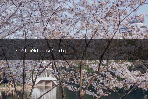 sheffield university是什么大学