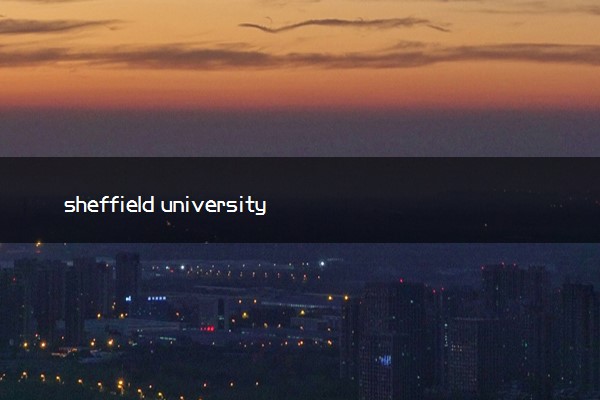 sheffield university是什么大学