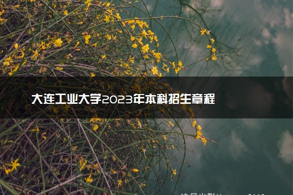 大连工业大学2023年本科招生章程