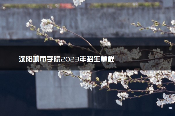 沈阳城市学院2023年招生章程