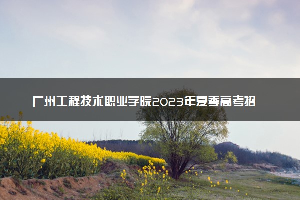 广州工程技术职业学院2023年夏季高考招生章程